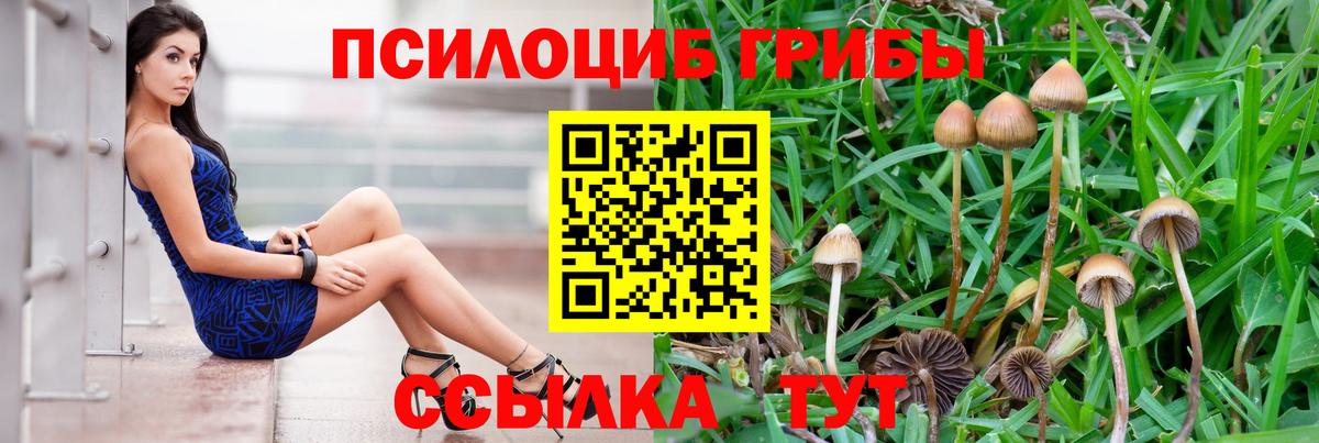 Меф МЯУ МЯУ   ГАШИШ  Ессентуки  Бошки Шишки  Конопля  Мефедрон  ГАШИШ  Вход с VPN 
