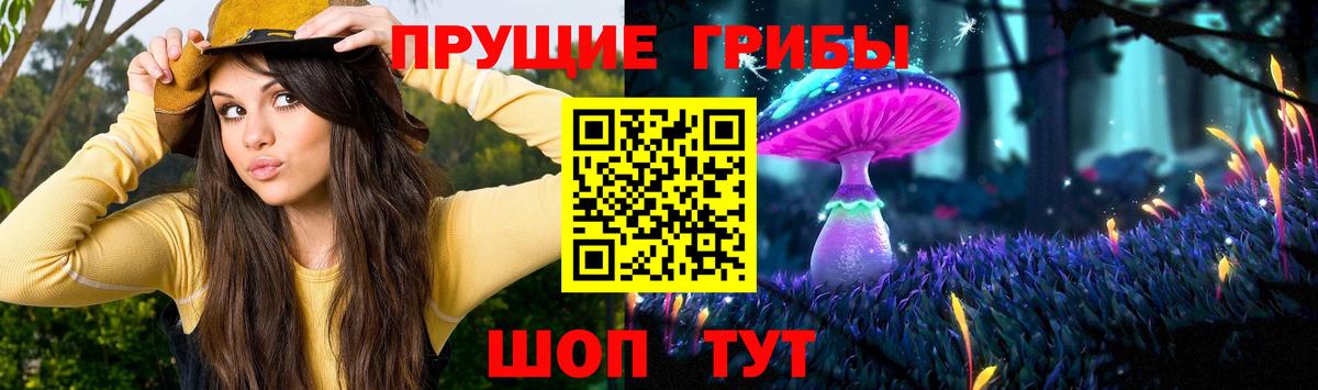 Псилоцибиновые грибы MAGIC MUSHROOMS  Галлюциногенные грибы Psilocybine cubensis  Вход с VPN  Ессентуки 